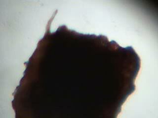 bm 11-5 second sample