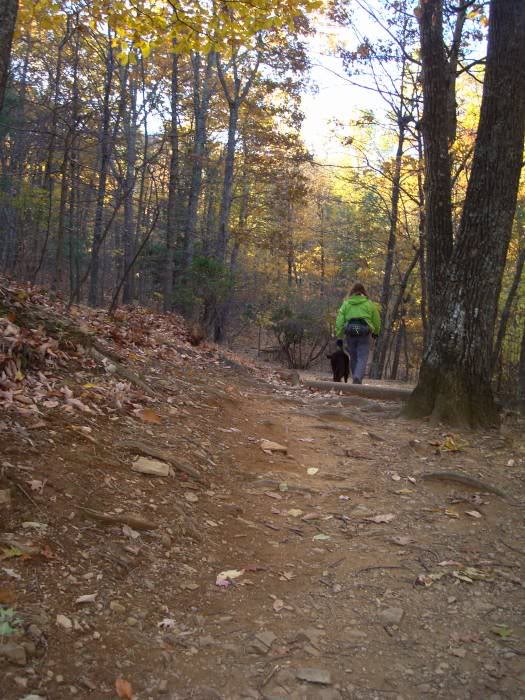 DSC03994 - Trail with Shane the Mountain Dog
