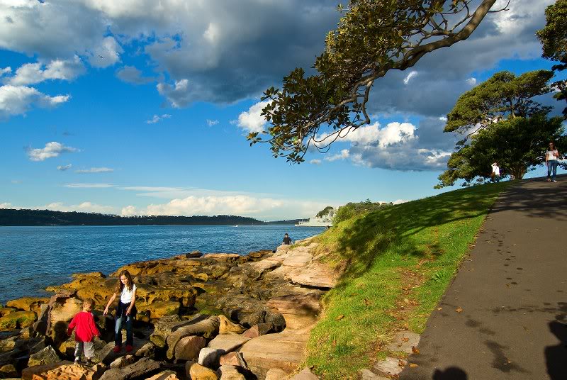 View from Mrs Macquarie's point