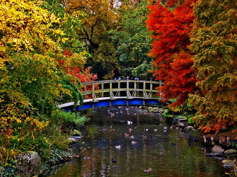 Regent's Parrk, London