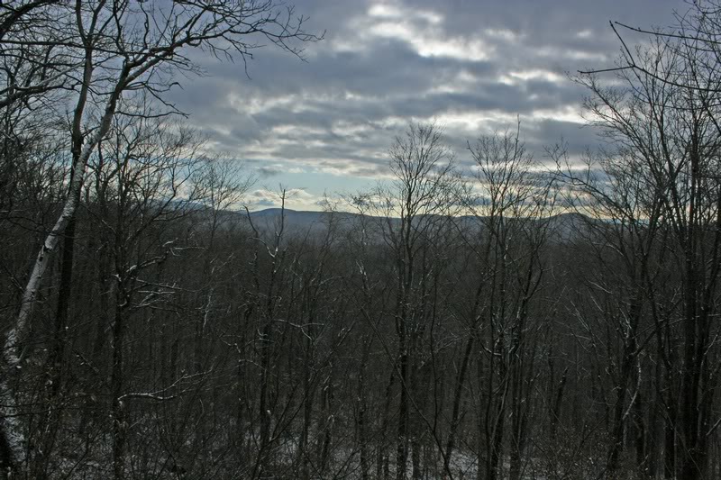 04-LOOKING OUT TO THE WILDCATS