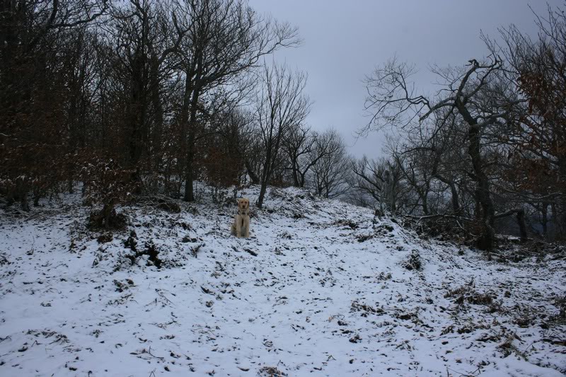 09-FIRST AT THE VIEW POINT