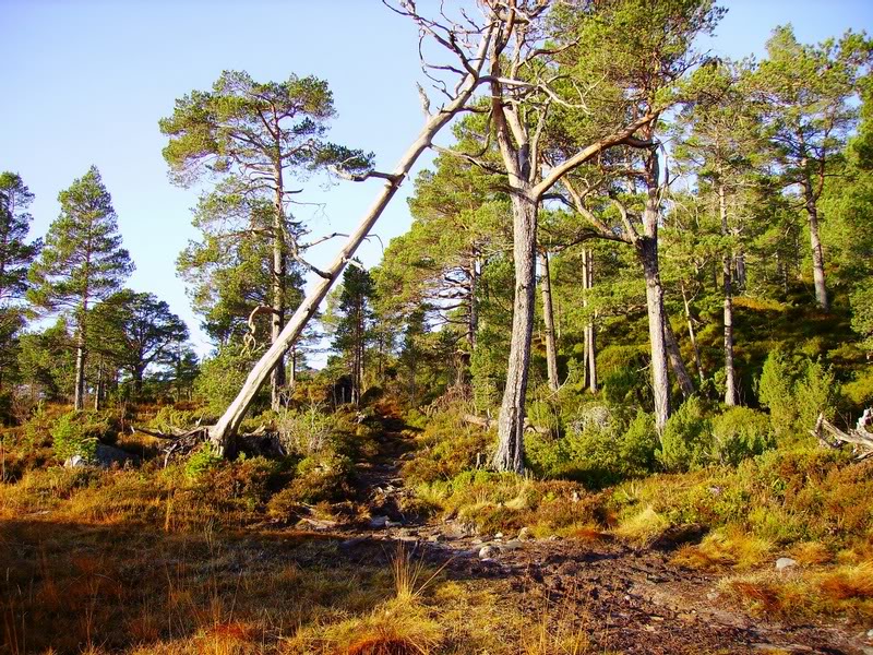 from this point who knows what's out there