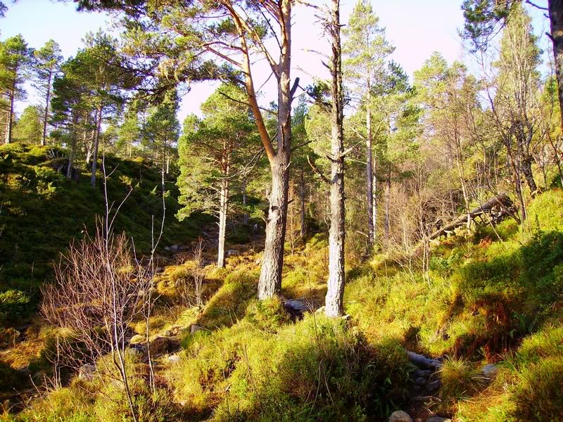 oh god, I gotta get through all that