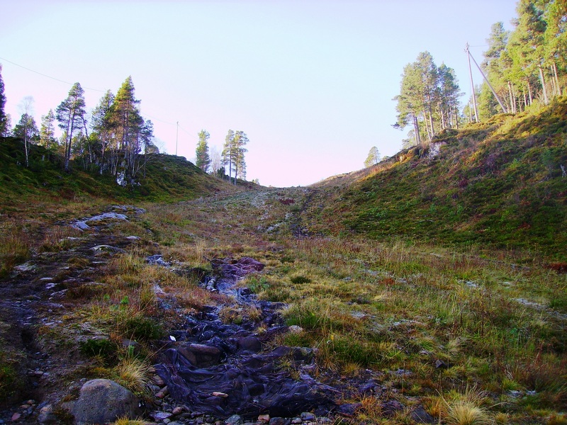 oh man, up there, come on!