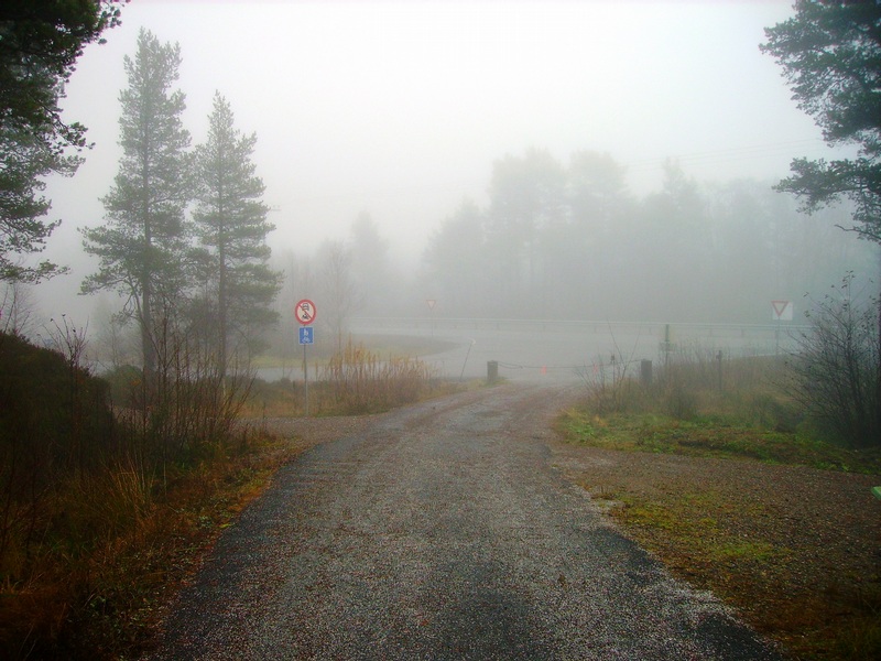 right at the roadside at the freikollen on frei