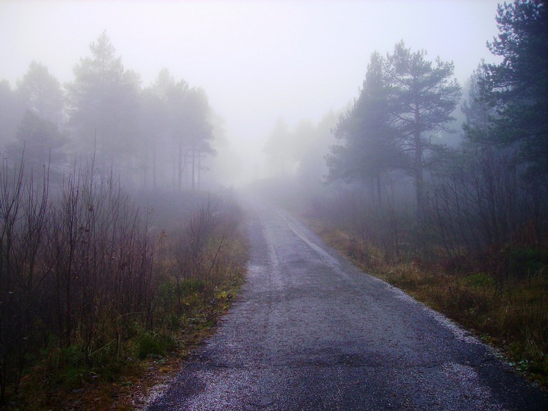 the very start, the first step, the first look, the fir...