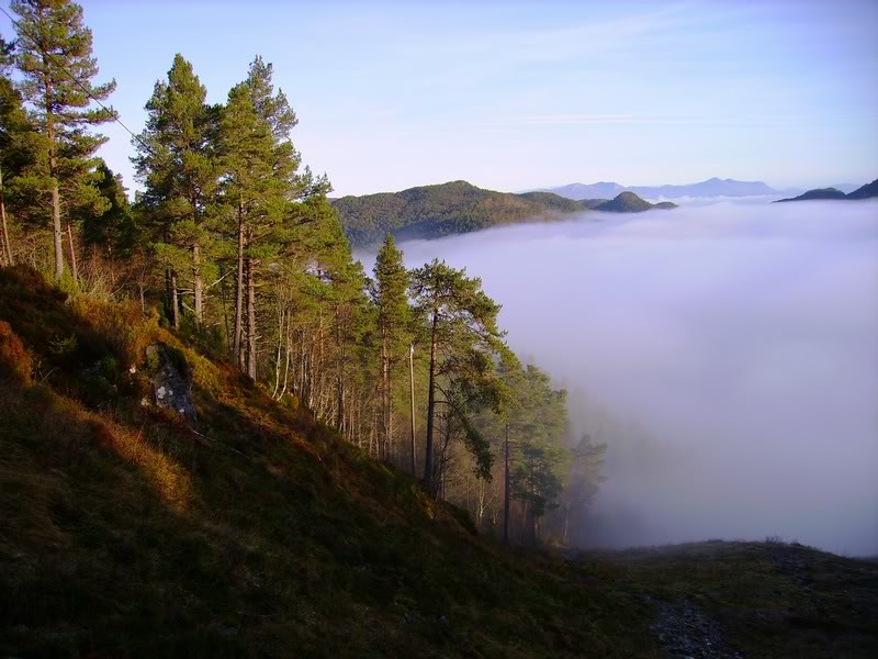 we see the sun for the first time