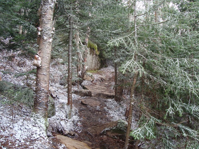 Just before the new trail rejoins the old.