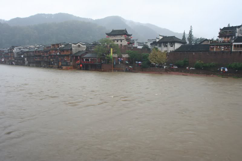 ���}�e�A���T��� ��A����