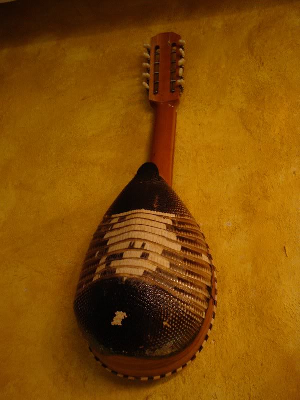 Armadillo guitar