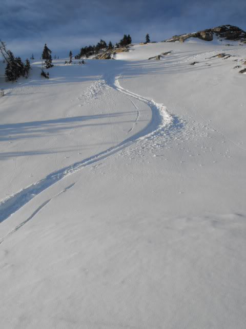 pow turns in the sun