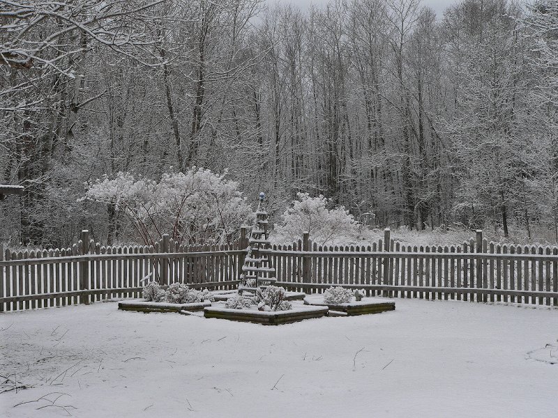 09-04.05 AprilSnowfall19 -BckYrd