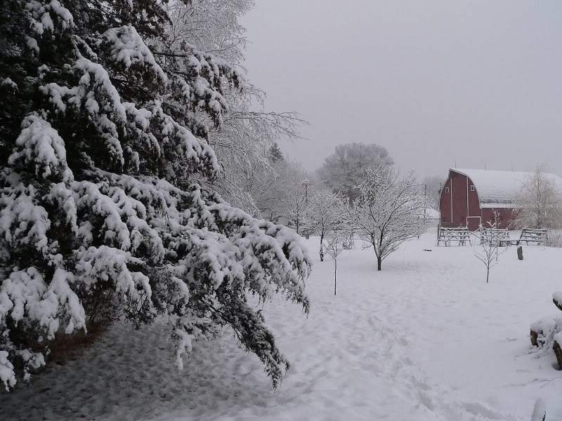 2007.12.22Snowf all02