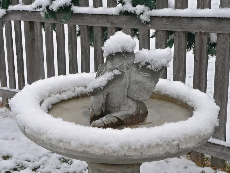 Birdbath - April '09 Snowfall