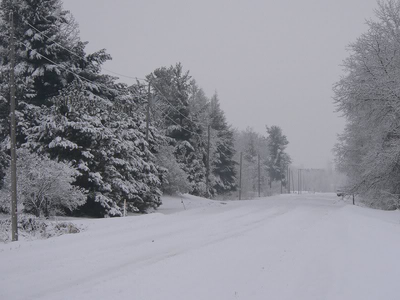 Snowfall - Dec 22 - 2007