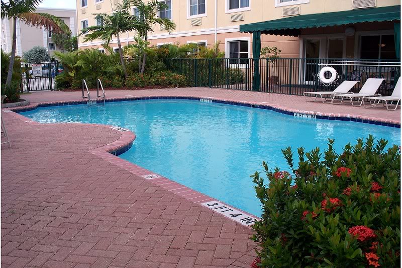 The hotel pool - Best Western Miami