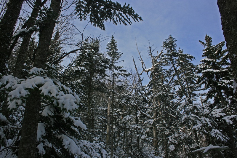 02-A LITTLE BLUE SKY