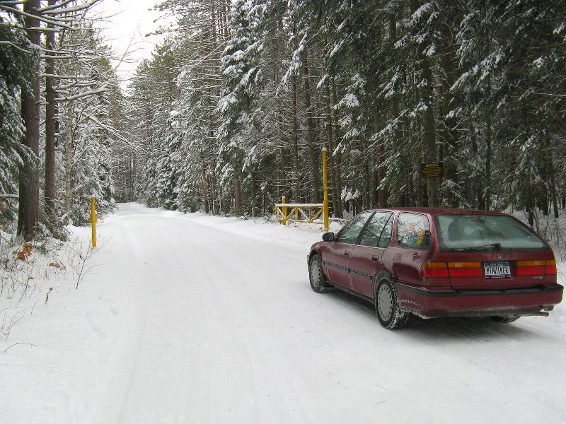 Gate on Coreys Road 12-15-08 008
