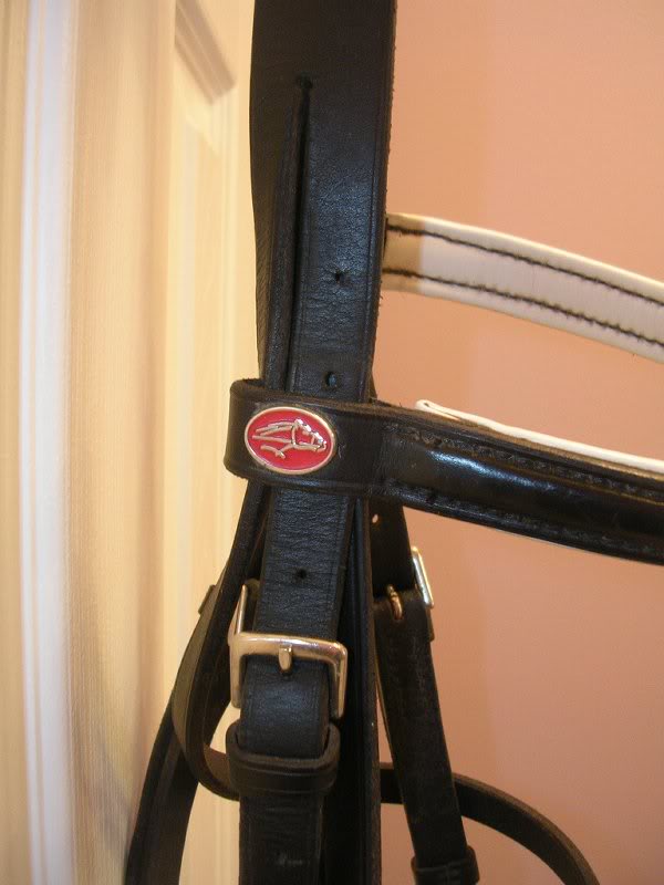 Bridle detail