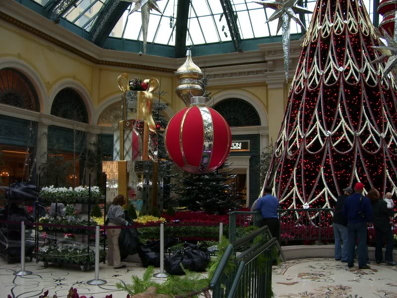 Bellagio Conservatory 4