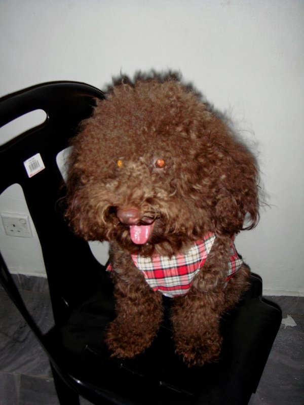 dont leave me alone, i want to go together