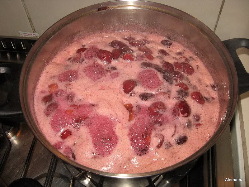 Bosh y mermelada cerezas 002