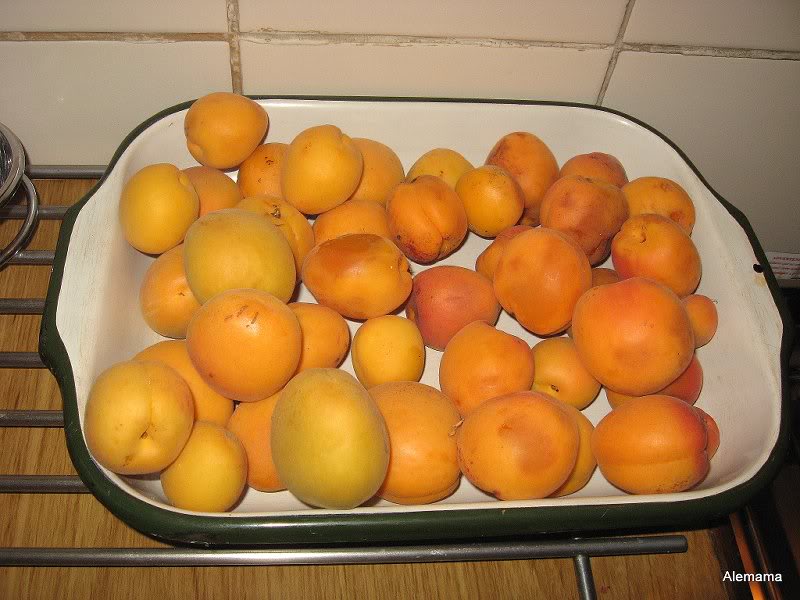 Bosh y mermelada cerezas 004