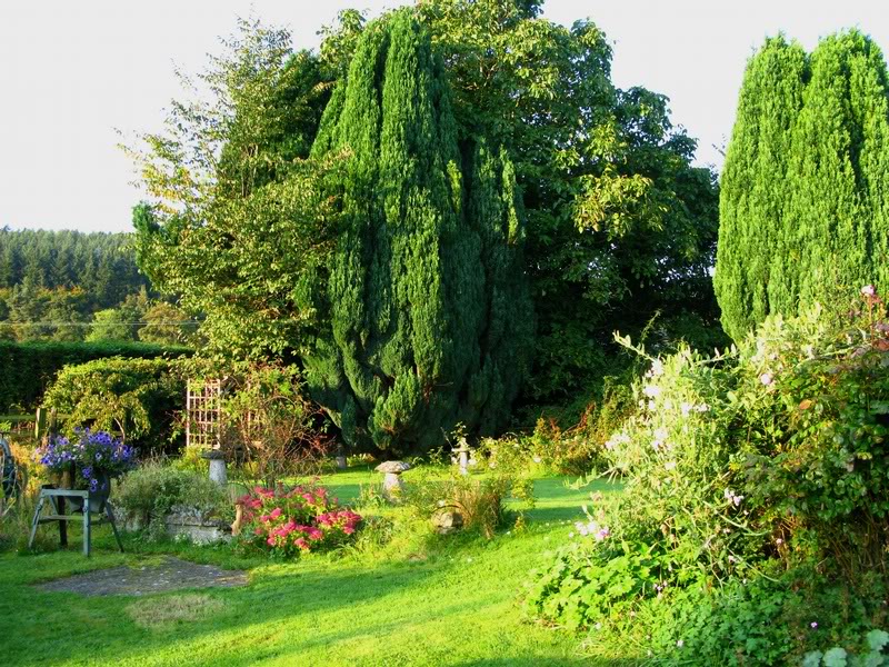 Lower Broughton Farm garden morning 2008 sep 29 c