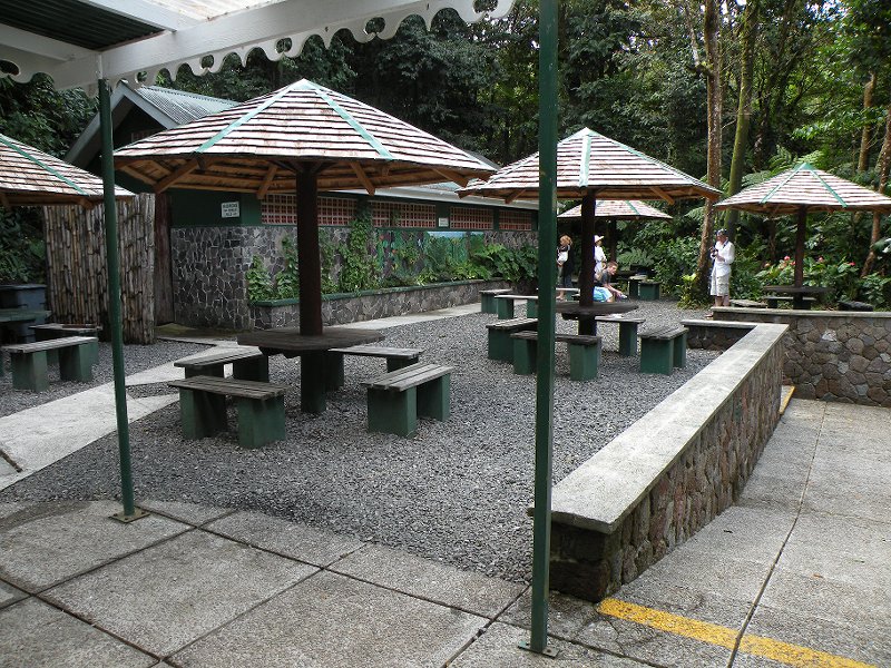 Explorer Holiday Cruise 2008 300