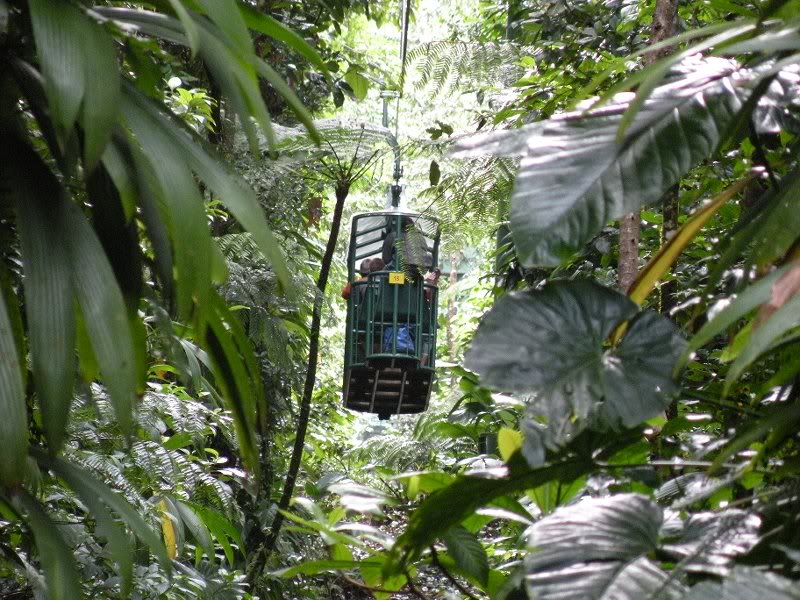 Explorer Holiday Cruise 2008 314
