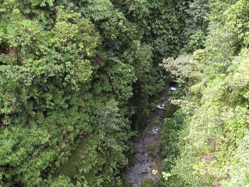 Explorer Holiday Cruise 2008 327