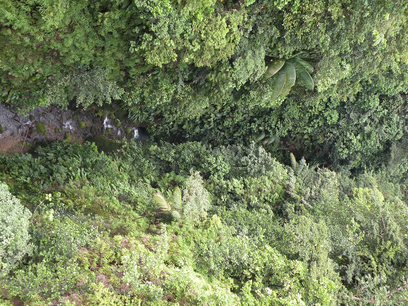 Explorer Holiday Cruise 2008 328