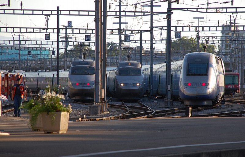A train lover's dream: three TGVs