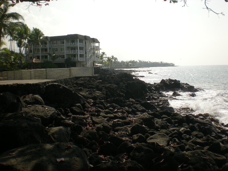 View from Don the Beachcomber6