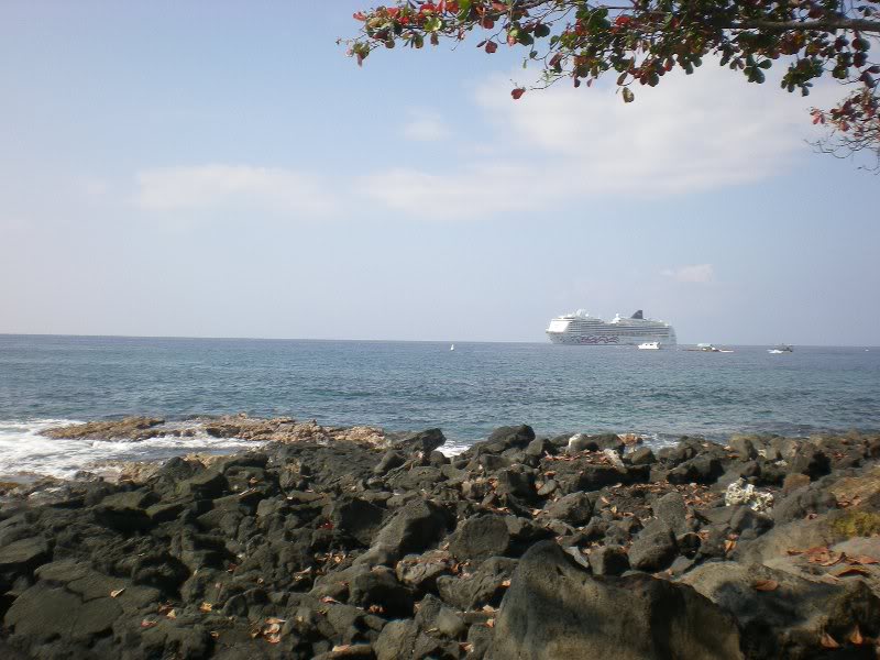 View from Don the Beachcomber7