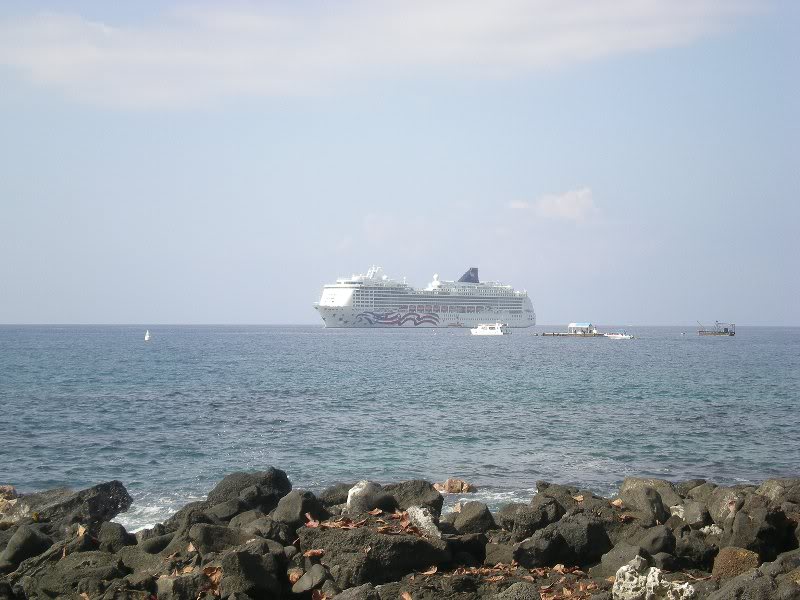 View from Don the Beachcomber8