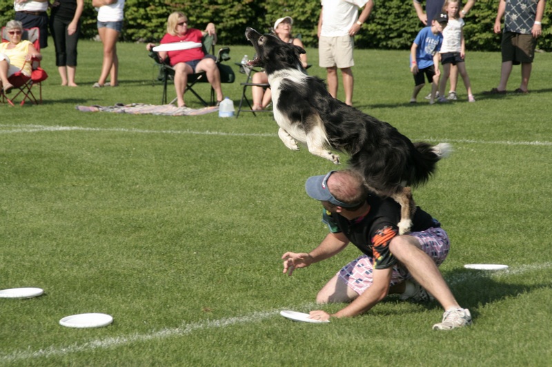 up and over to get the frisbee