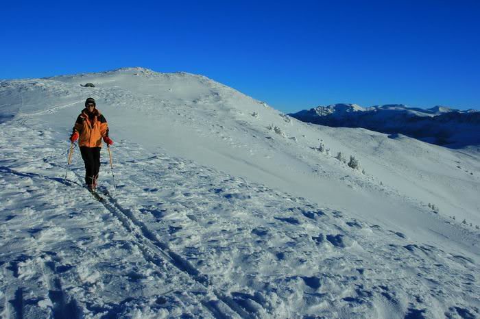 Cortul ne va astepta