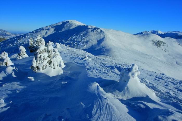 Curmatura Fiarelor si Santilia