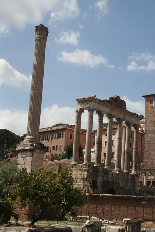 Columna Honoraria con Templo de Saturno al fondo.