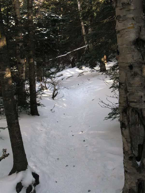 A nice sidewalk - no snowshoes needed