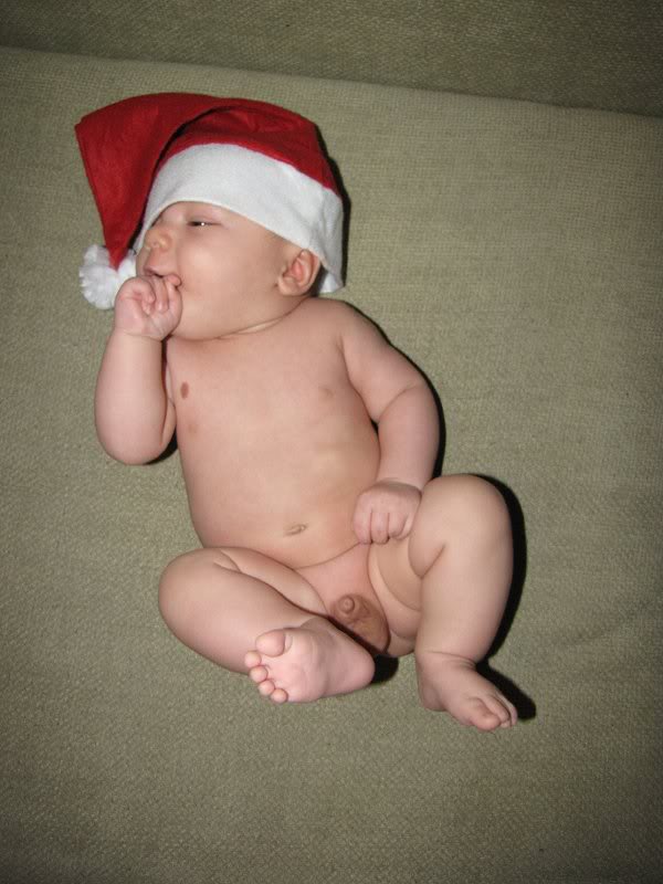 mosul cel infometat!