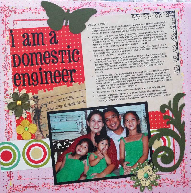 I am a Domestic Engineer