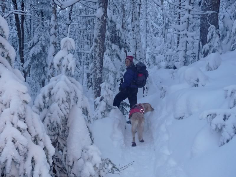 01-WINTER WONDERLAND