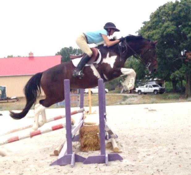 Ollie jumping 2 foot.