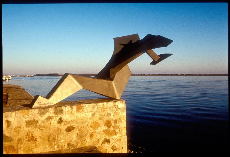 166606352_cc482 27ed9_o(2)