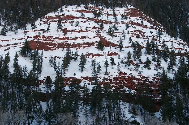 Patterns and contrast