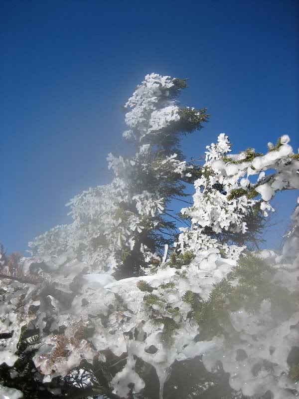 Sugarloaf & Twin 028