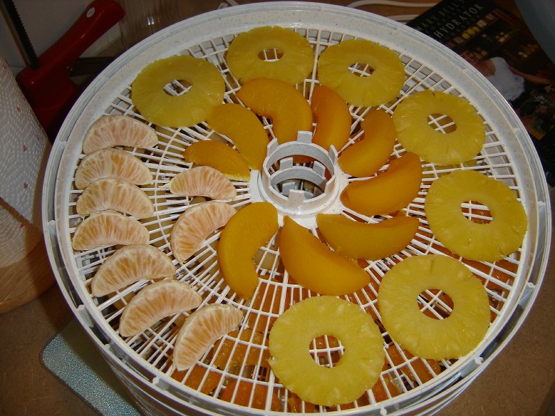 Fruit in Dehydrator